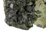 Black Andradite (Melanite) Garnet Cluster - Morocco #107905-1